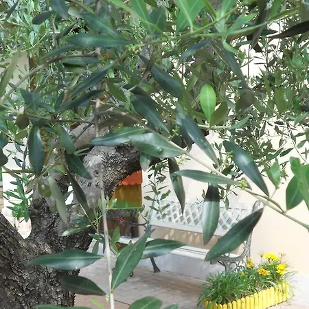 A Casa Di Anita San Pietro in Cariano
